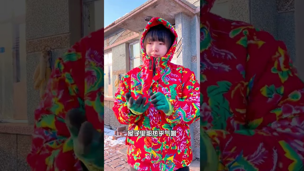 The daily life of cats in Northeast China during winter
