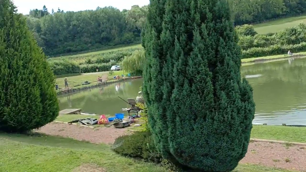 Redhill fishery ponds