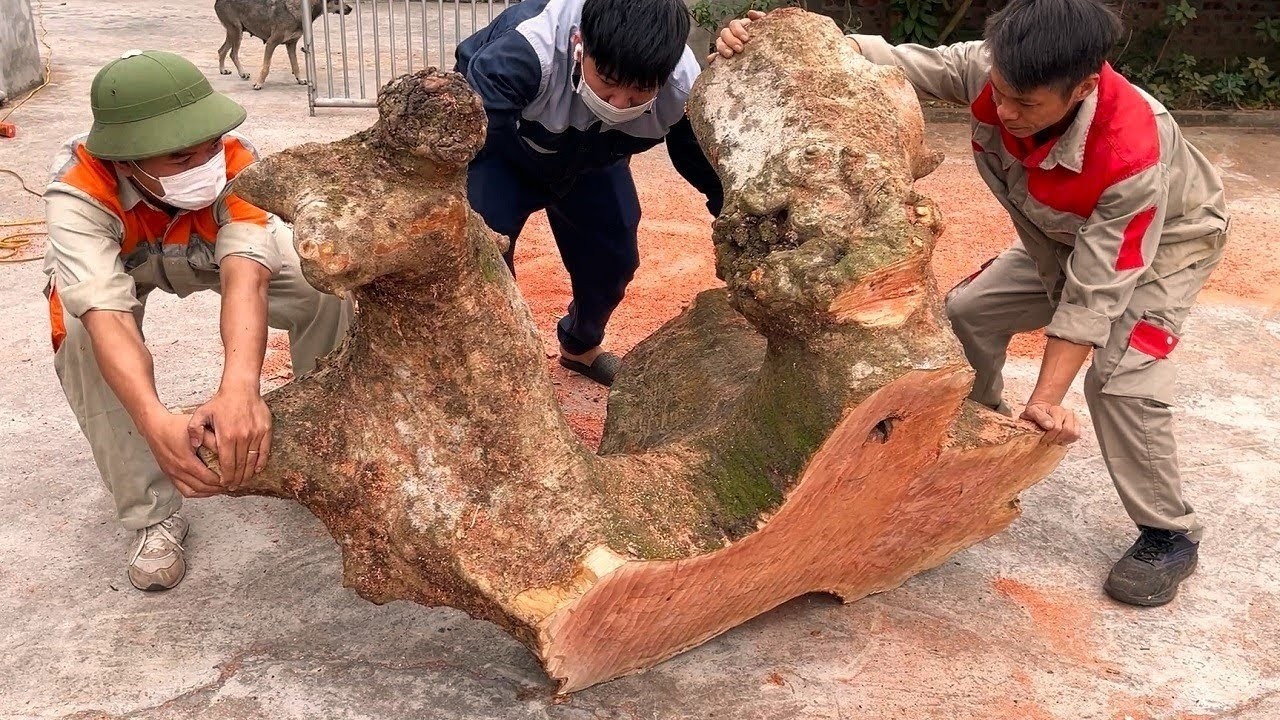 Turn Old Tree Stumps Into Something Amazing: See What This Guy Did To Create Priceless Masterpieces