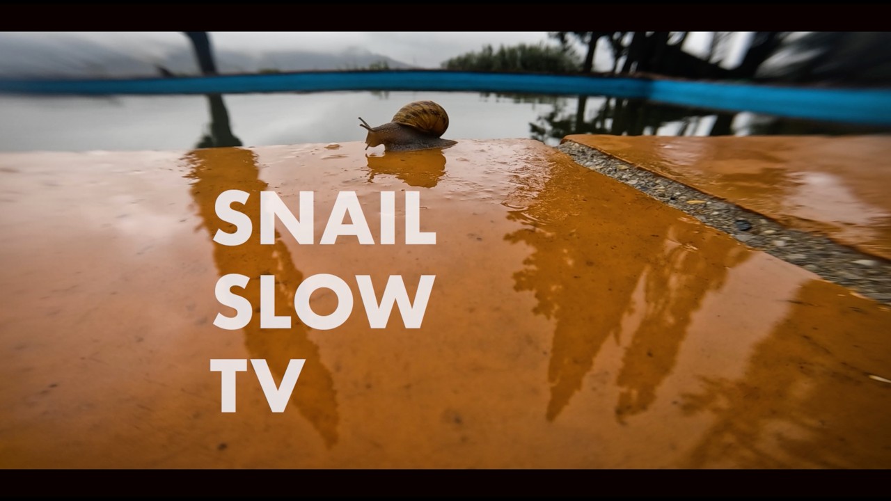 Snail Slow TV #1