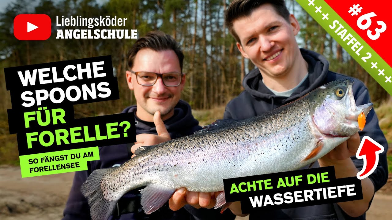 Welche Spoons sind die besten f&uuml;r Forelle? 🎣