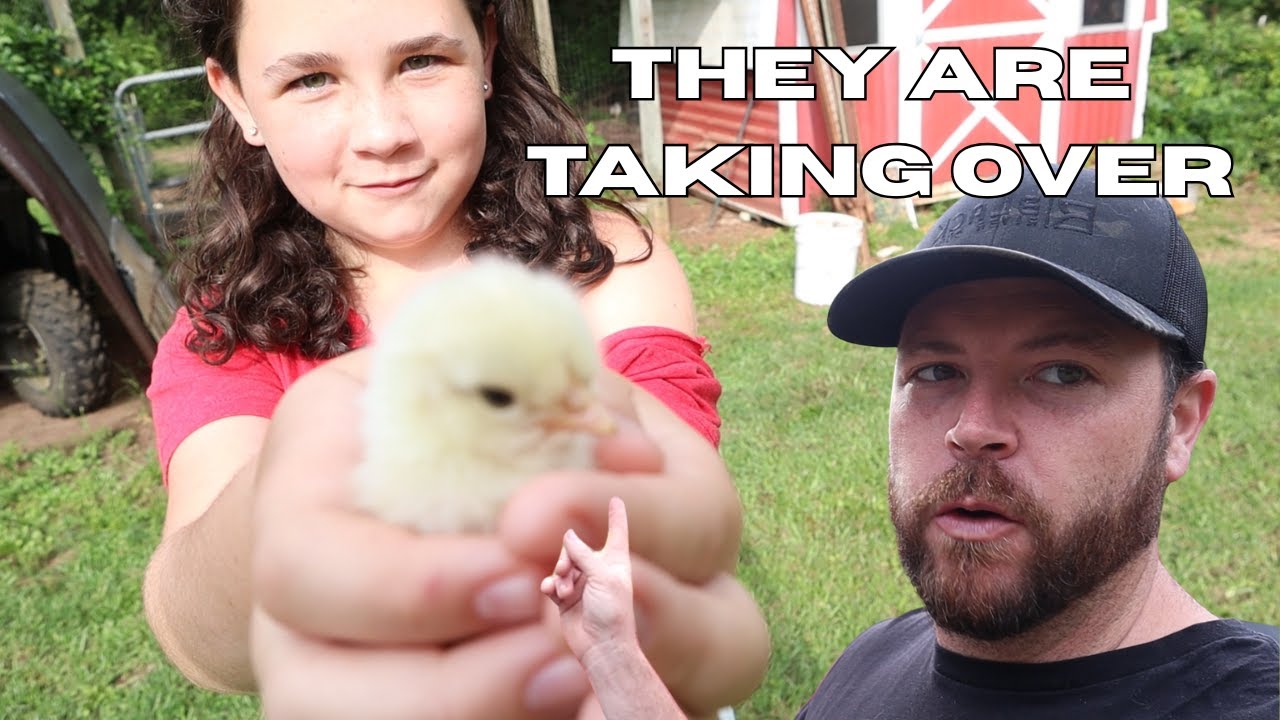 Things on the Farm or getting out of control!