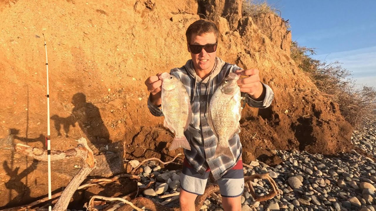 Perch Fish Fingers Fried on the Beach! Catch and Cook