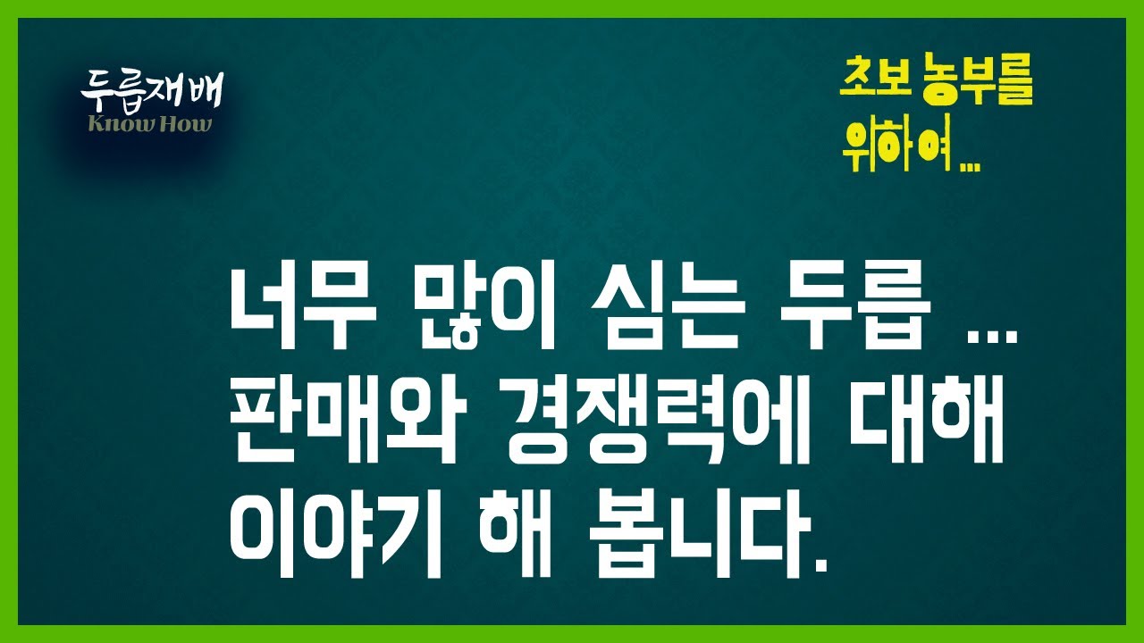 두릅을 많이 심고 있는데 지금 심어도 경쟁력이 있는가? 두릅의 경쟁력과 판매에 대해 나누어 봅니다.