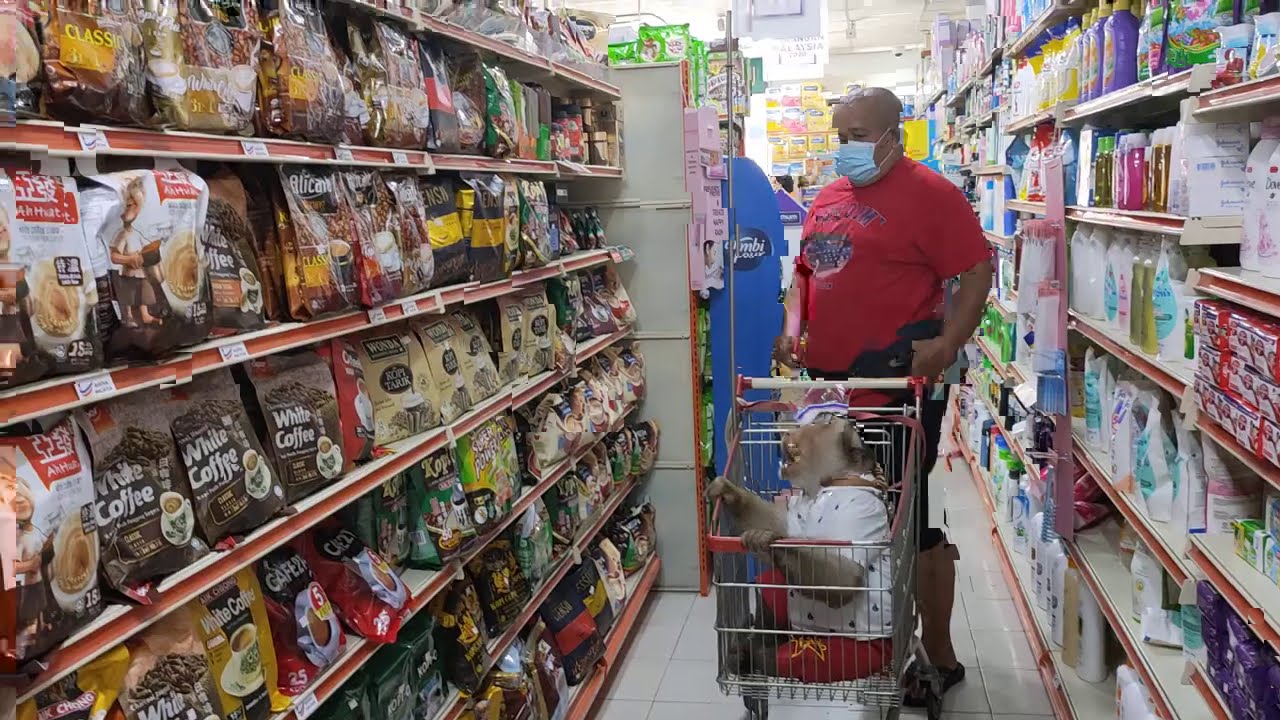 Jk Going To Groceries