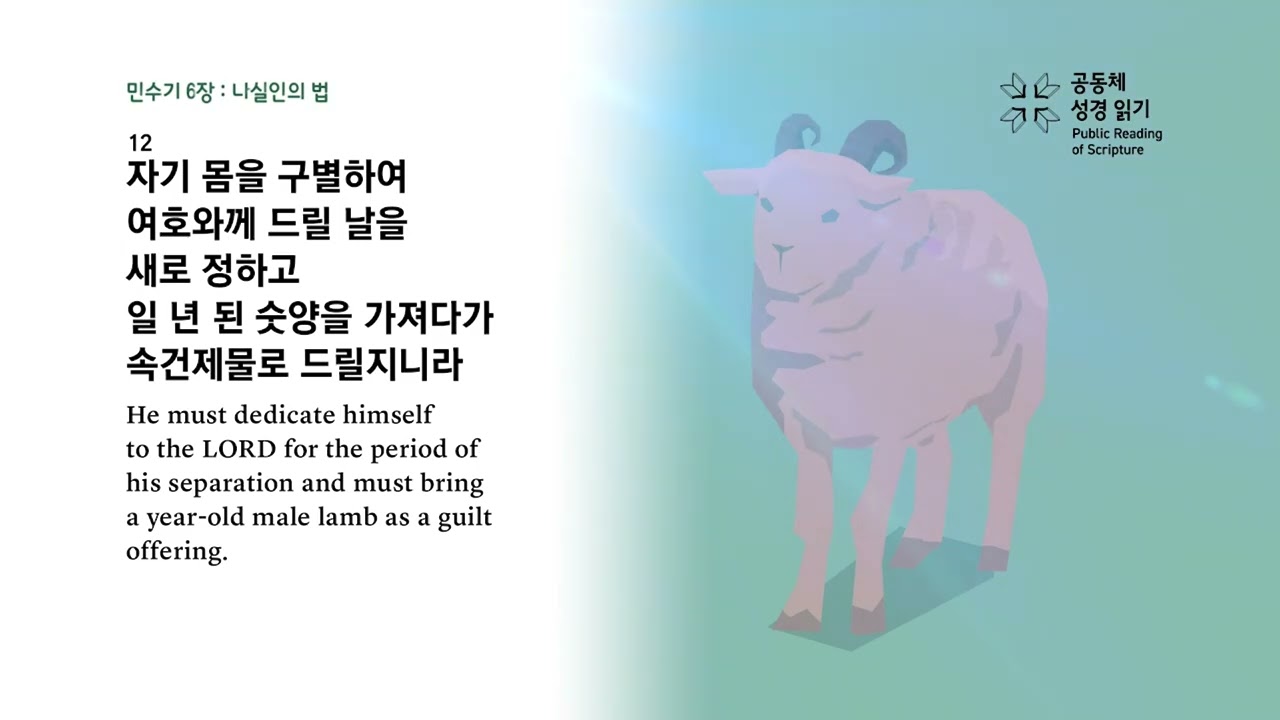 전교인 성경일천독 챌린지 38일차 (민수기 4-7장)