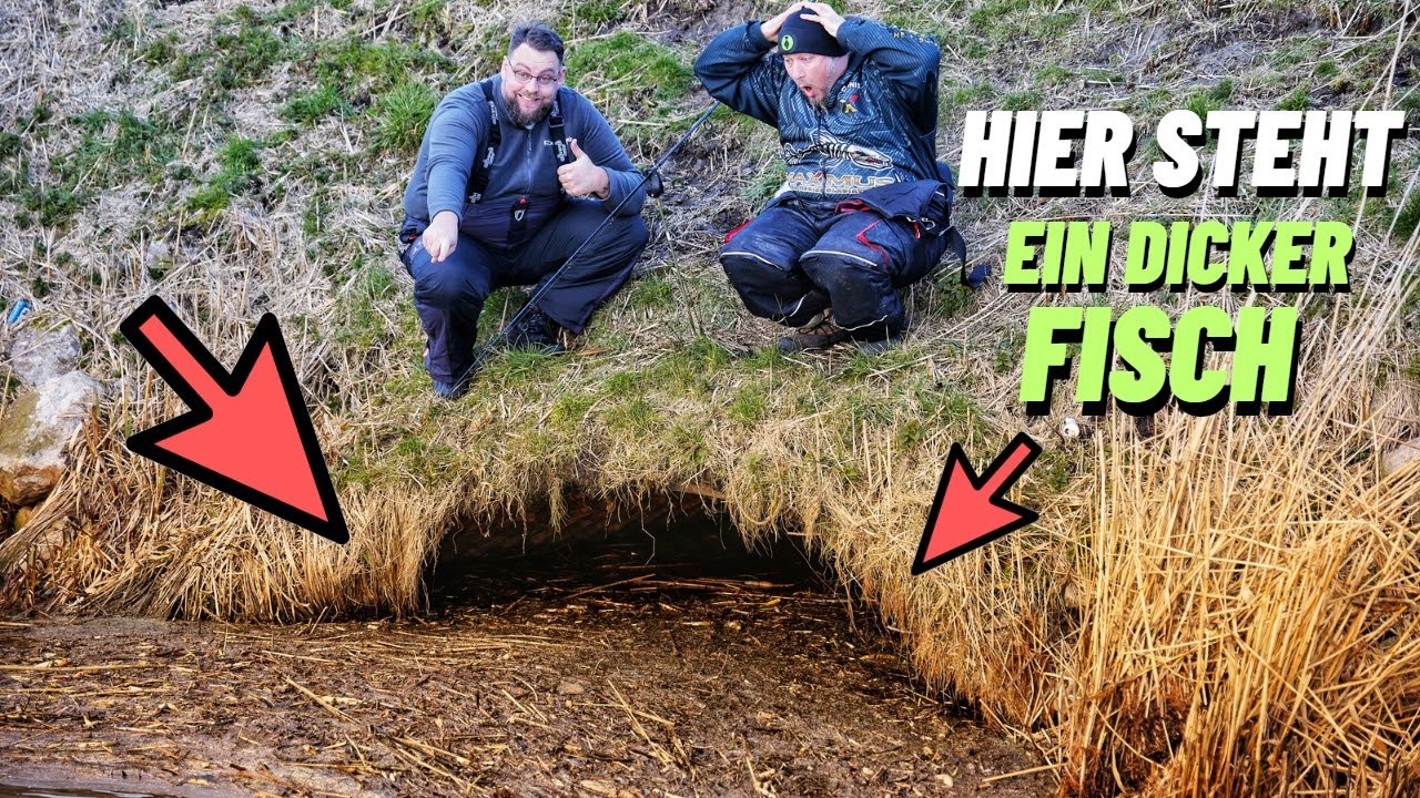 Mit K&ouml;derfisch am Polder. Welcher Fisch versteckt sich vor dem Rohr unter dem Dreck?