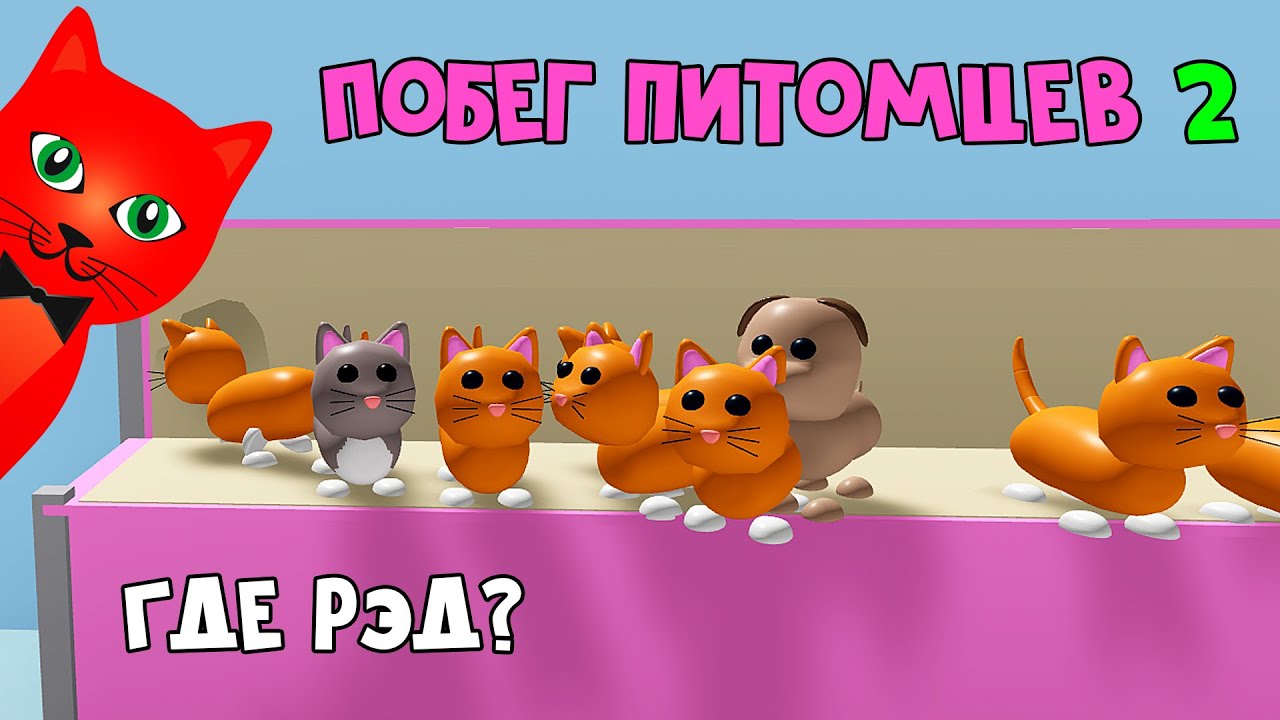 Побег 🐶 домашних питомцев (петов) роблокс | Pet Escape 2 roblox | Как спастись животным в магазине