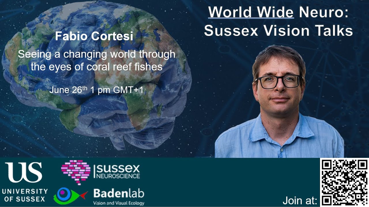 World Wide Neuro | Sussex Vision Series - 26/06/2025 - Prof. Fabio Cortesi