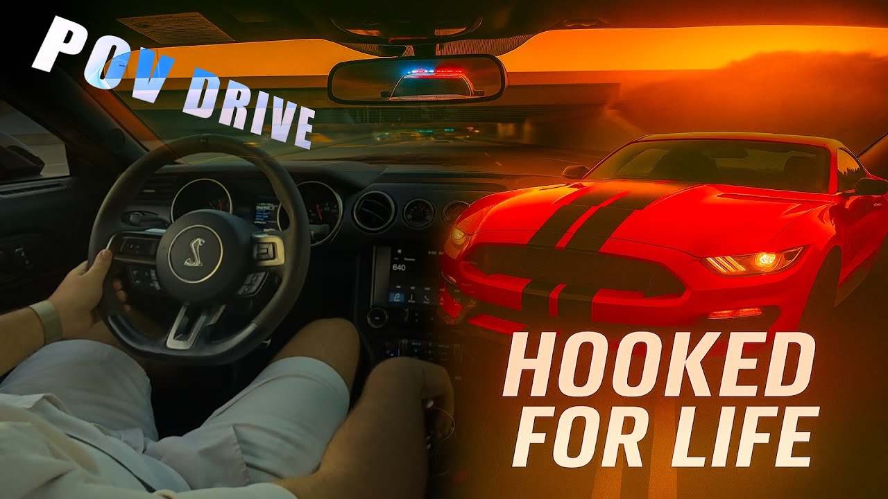 Nothing illegal, but it sure feels like it  | Stock 2018 Shelby GT350 POV