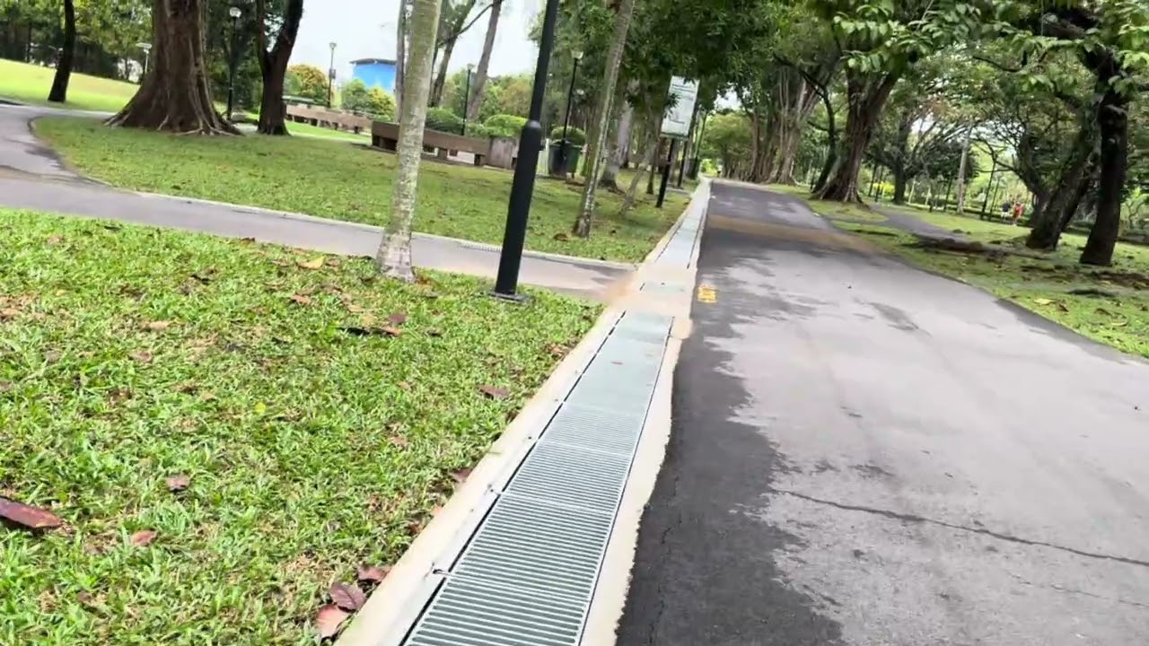 [Virtual walk] West Coast Park