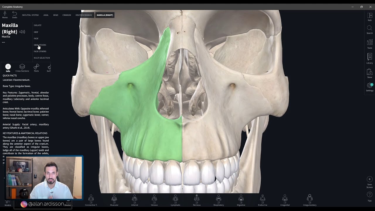 Aula 03 - Anatomia Avançada da Maxila [ Prática em software ] [ Sistema Esquelético da Face ]