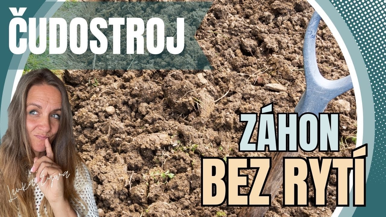 Čudostroj - aneb jak připravit z&aacute;hon bez ryt&iacute;