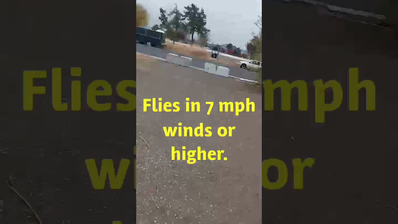 pocket kite