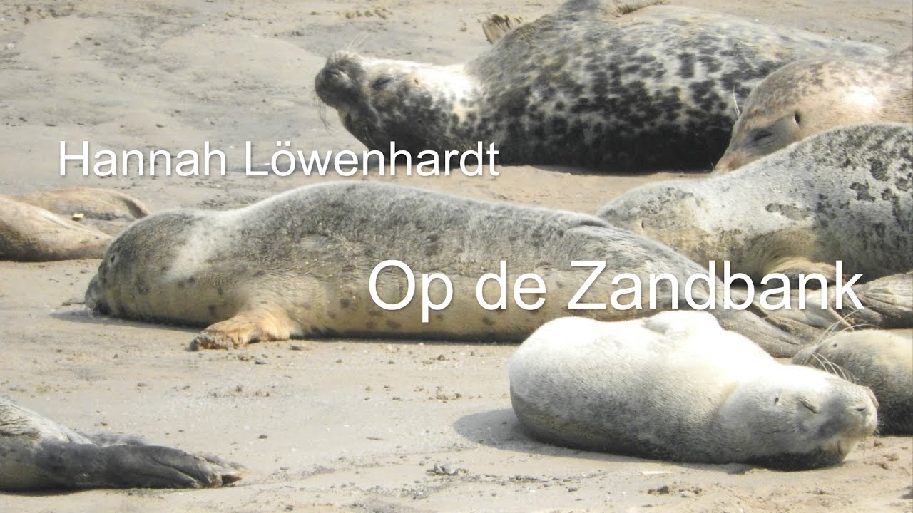 Op De Zandbank