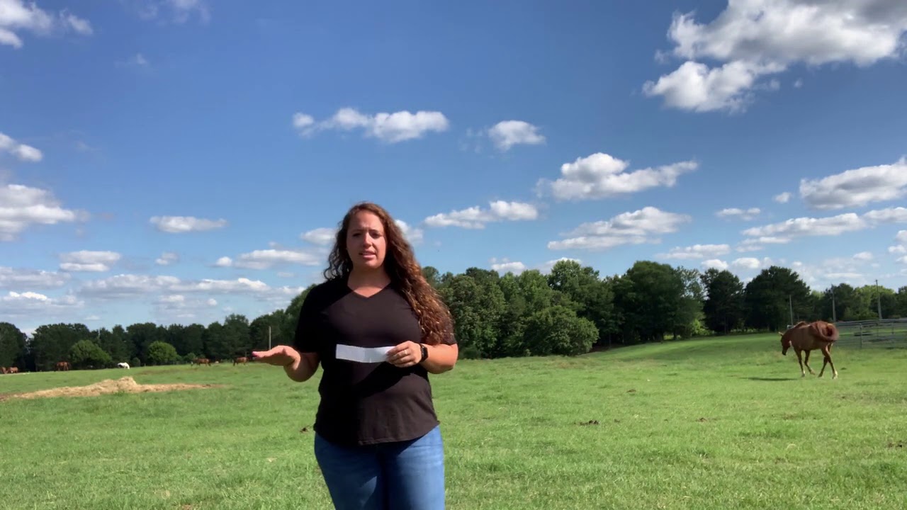 How  many acres do you need per horse?