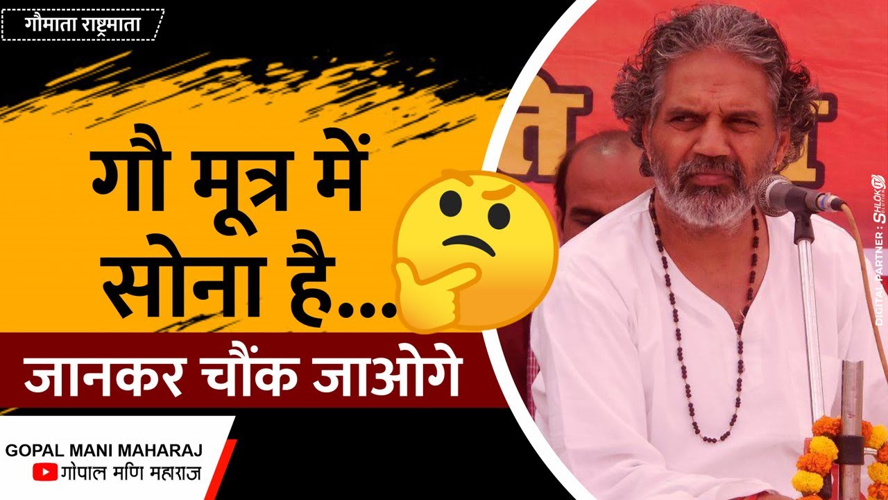 Kya Gau Mutra Me Sona Hai ? क्या गौ मूत्र में सोना है ? जानकर चौंक जाओगे By Gopal Mani Ji Maharaj