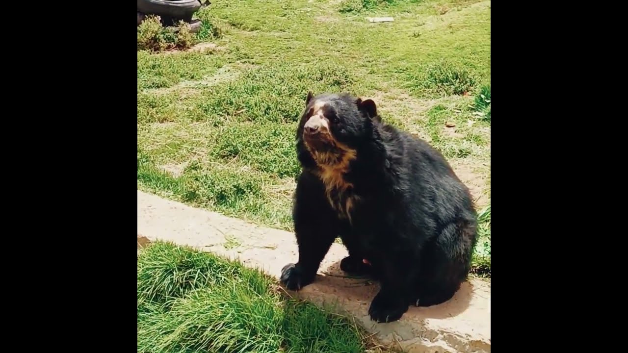 Descubre Cultura Cusco Magico