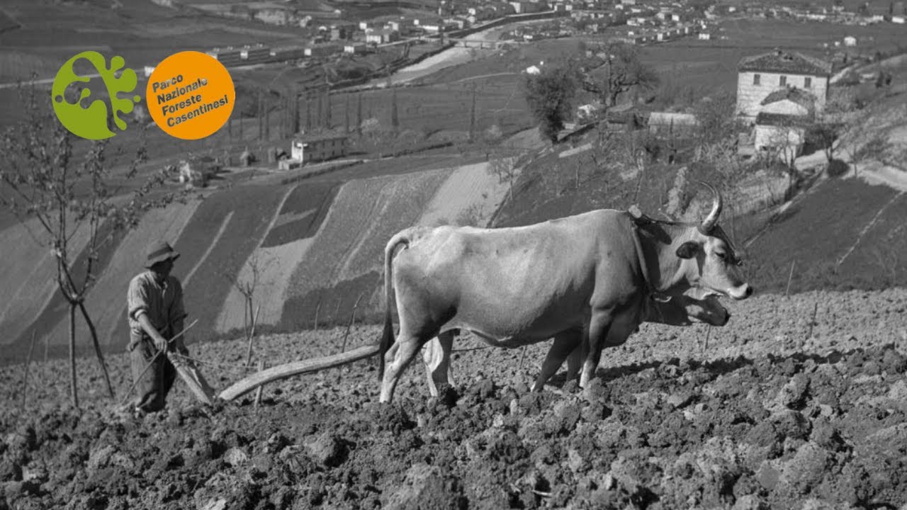 L'ESODO RURALE | Documentario