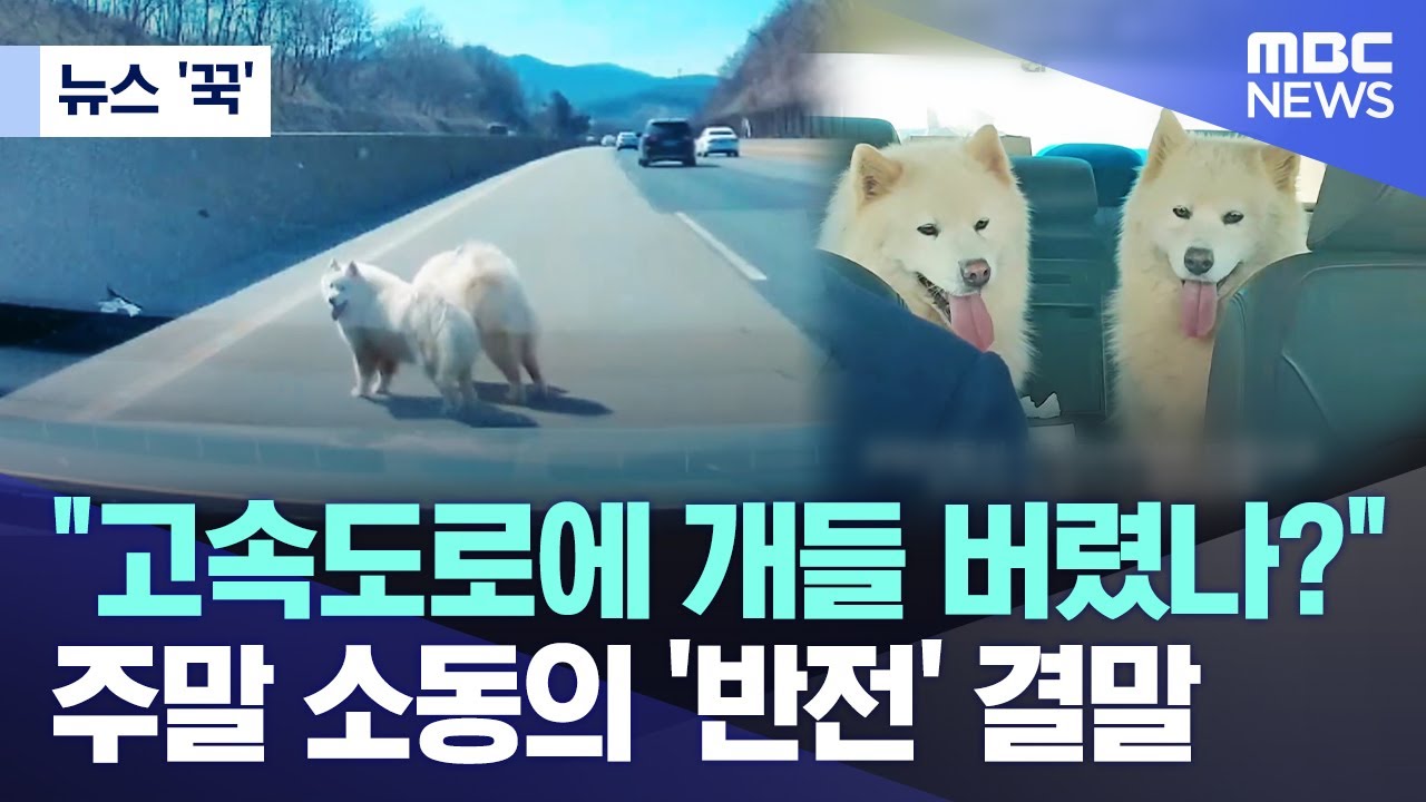 [뉴스 '꾹'] 