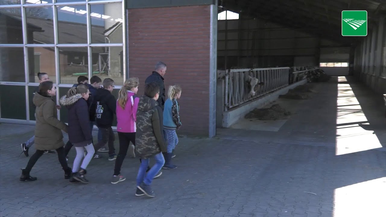 'Ik weet nu hoe een koe een baby uitpoept'