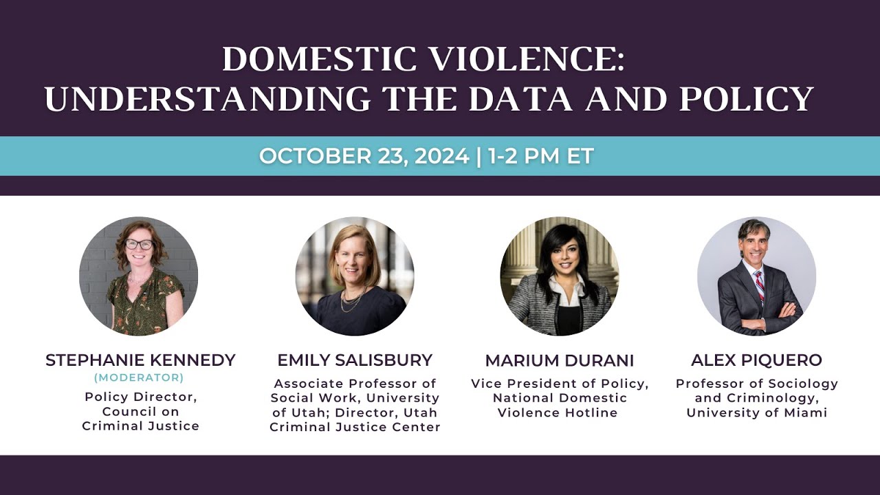 Domestic Violence: Understanding the Data and Policy