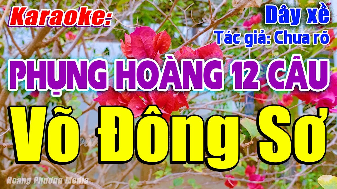 Karaoke Phụng hoàng 12 câu – Võ Đông Sơ (Dây xề) | Beat Mùi và Hay Lắm Luôn – Hoàng Phương Media