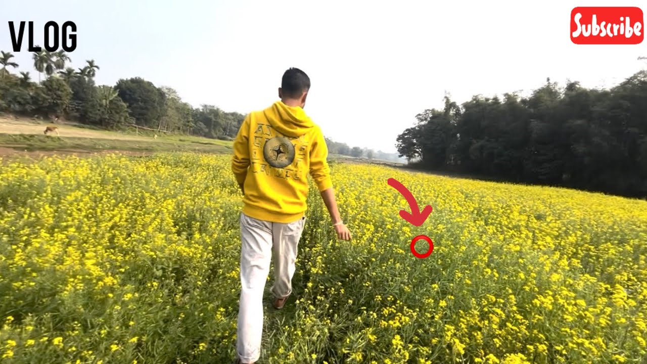 Flower wala bagicha mai ghumke maja aya 😍#vlog #viralvideo 