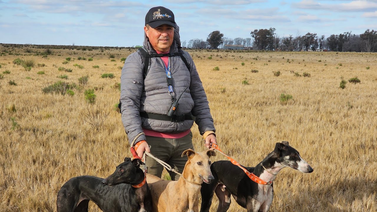 Galgos de campo 2025.   Sabado 12 de julio compartiendo entre amigos.