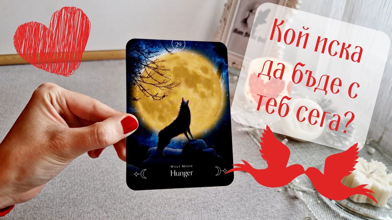 🙀💥❤️‍🔥Кой иска да бъде с теб сега, кой мисли за теб днес?❤️‍🔥💥🙀