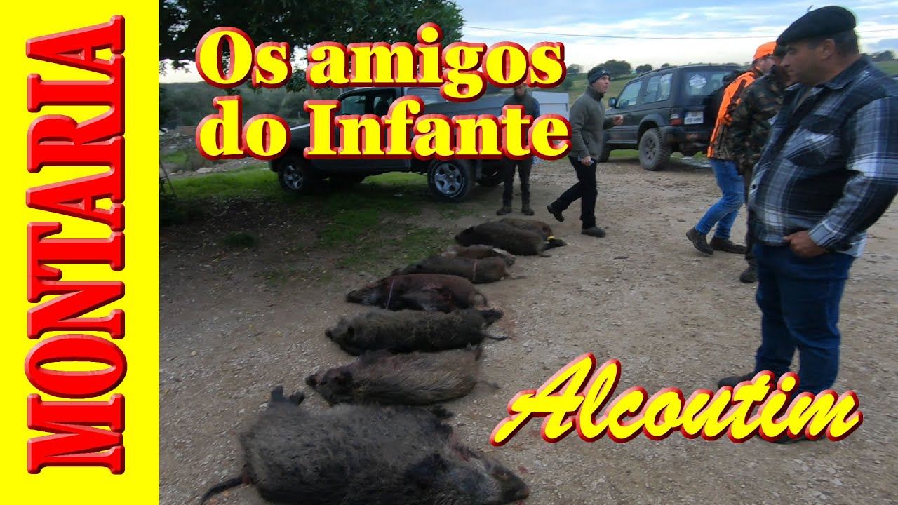 Montaria ao Javali com 