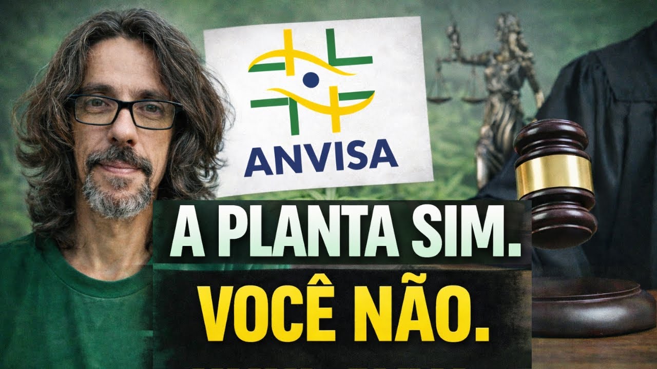 Novas Regras da ANVISA: O Que Mudou com a REGULAMENTA&Ccedil;&Atilde;O da Cannabis Medicinal no Brasil
