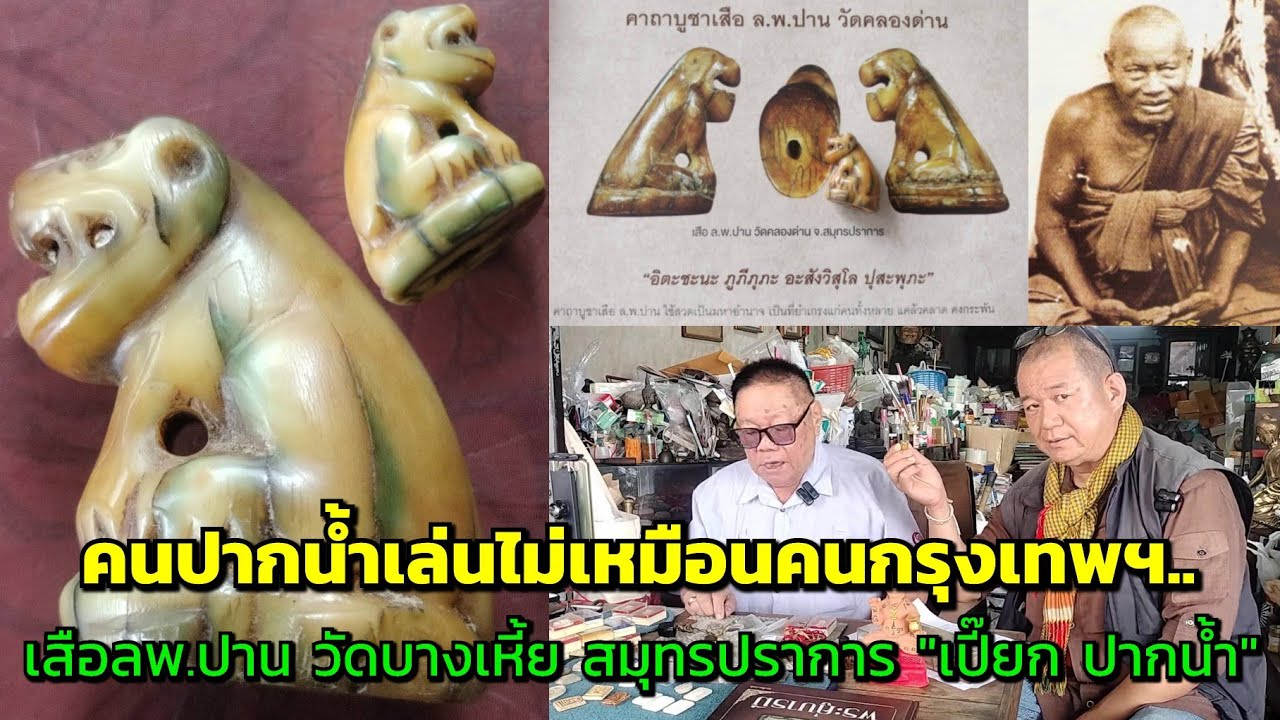 คนปากน้ำเล่นไม่เหมือนคนกรุงเทพฯ....เสือ ลพ.ปาน วัดบางเหี้ย สมุทรปราการ 