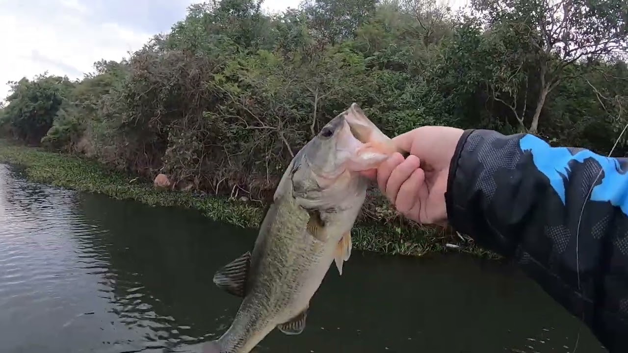 Inanda Dam Update - Bass Fishing