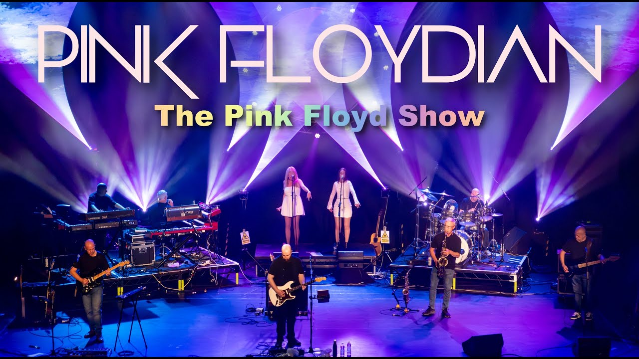 Us & Them - Pink Floyd cover performed by Pink Floydian