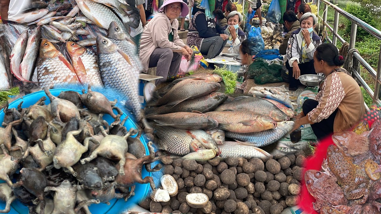 ตลาดนัดไทย-ลาว อ.ธาตุพนม อึ่งอ่าง เห็ดเผาะ ของป่าลาว อาหารแซ่บ จ.นครพนม