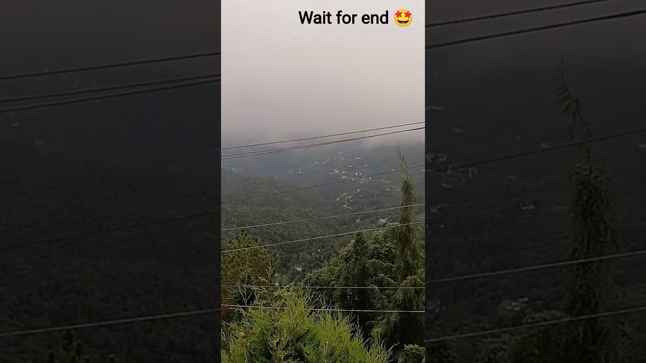 Magic of Clouds in Mukteshwar 🌥️ | Heavenly Views in the Hills