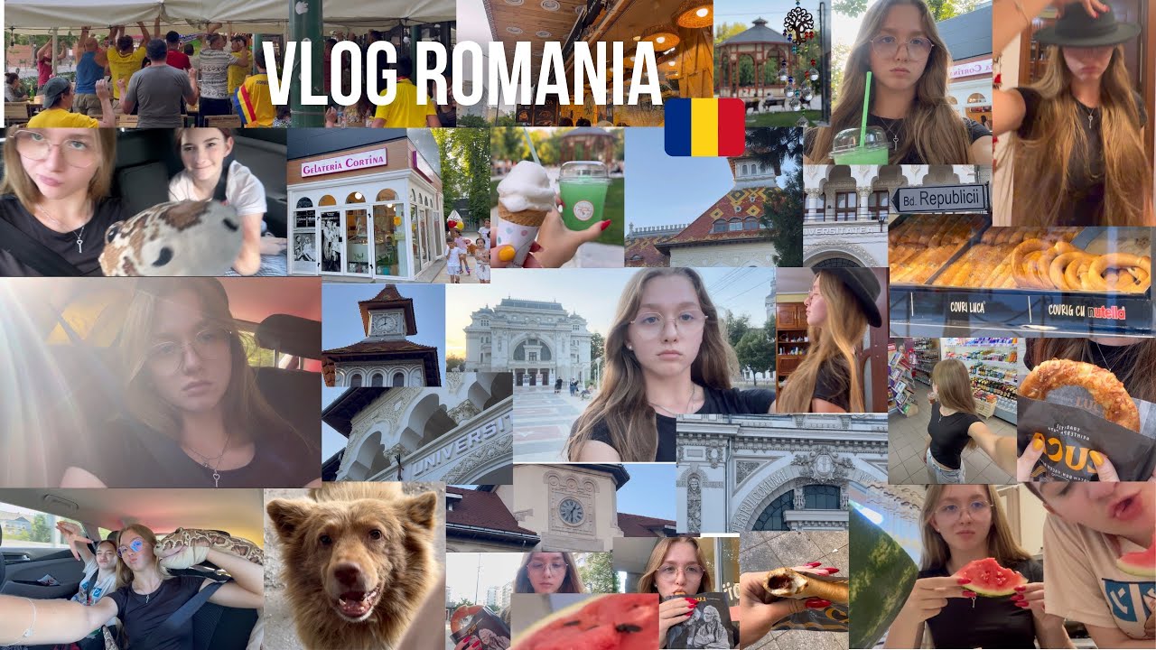 Vlog Romania🇷🇴 / дорога и путь в Румынию / вечер с вкусной едой 🥨
