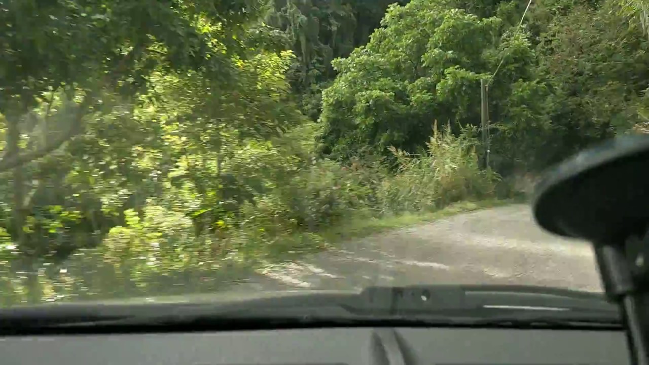 Driving in the Blue Mountains (Drive Through Clouds) - Jamaica [Timelaps]