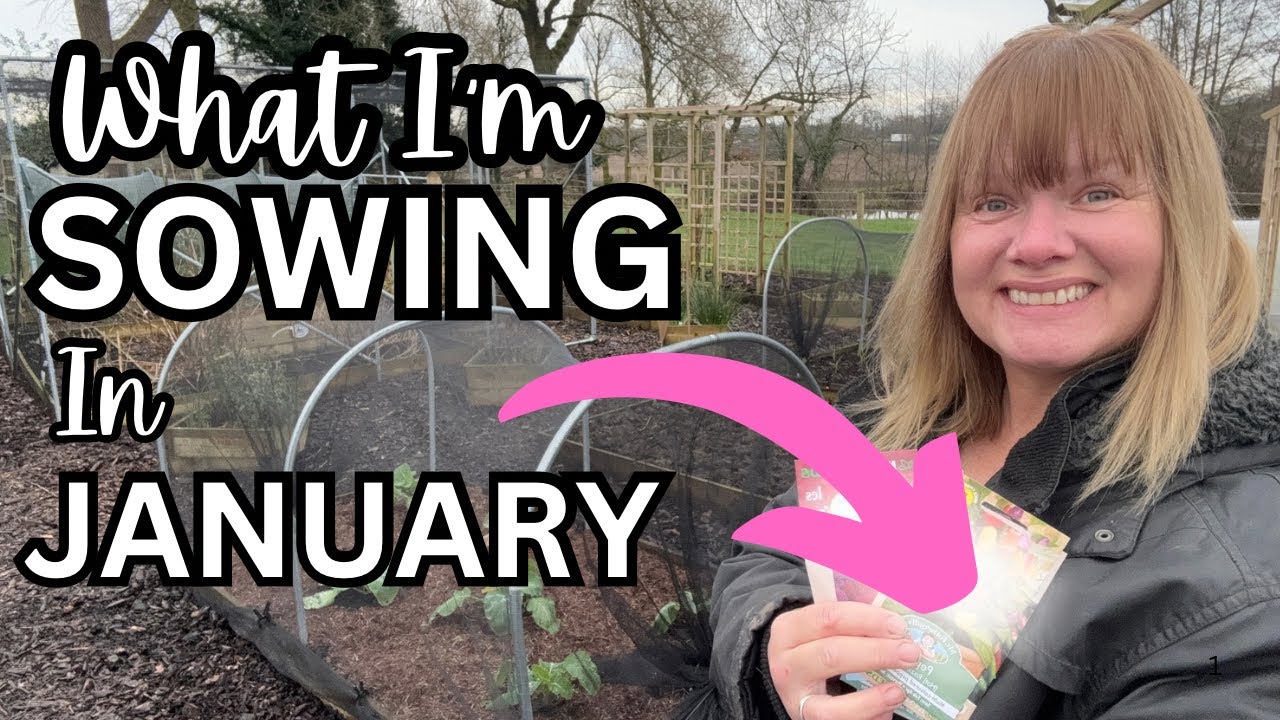 Seeds to Sow in January & Gardening Jobs to do NOW!