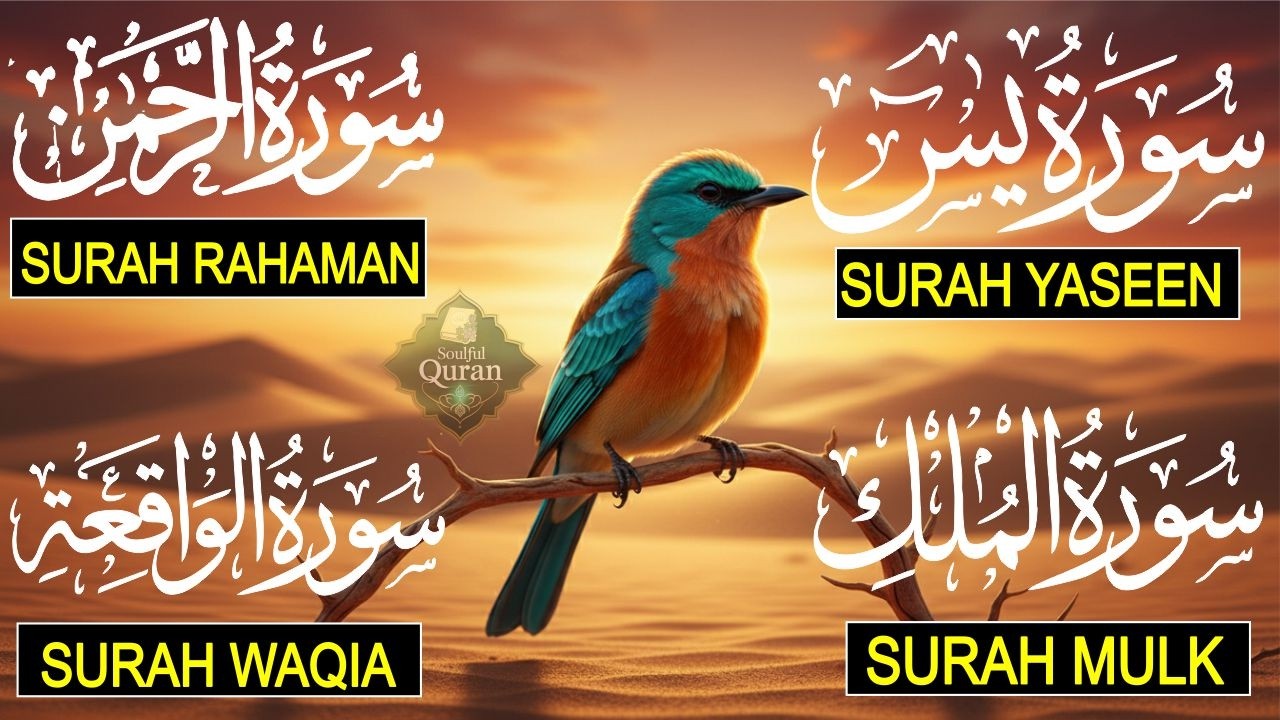 Most Beautiful recitation of Surah Yaseen | Surah Rahman | Surah Waqiah | Surah Mulk |EP 23
