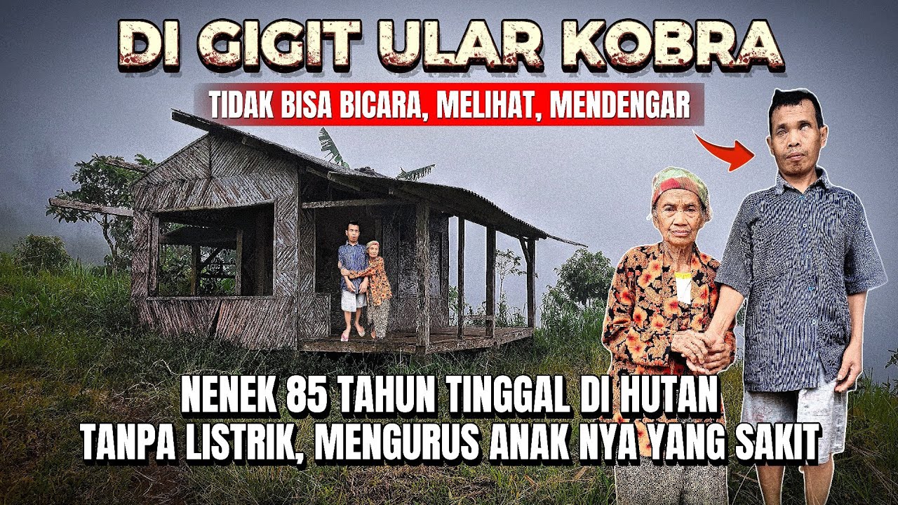 Puluhan Tahun Dalam Kegelapan‼️Nenek 85 Tahun Tinggal Di Puncak Gunung, Mengurus Anaknya Yang Sakit