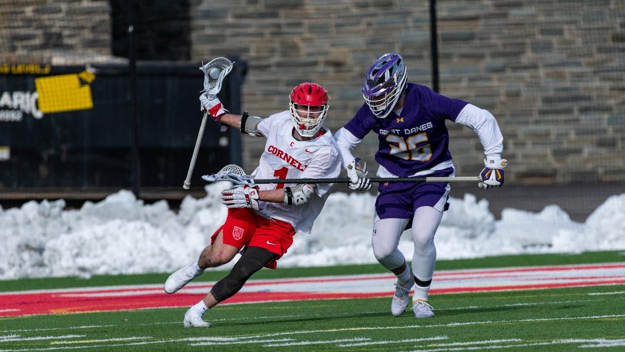 Albany vs Cornell Lacrosse Highlights | 2023 College Lacrosse