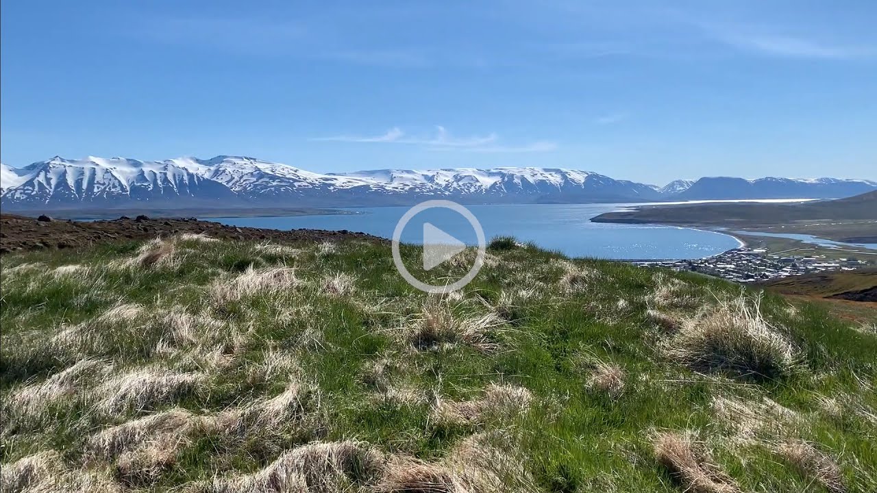 Archaeological fieldwork in Northern Iceland: a medieval farm settlement