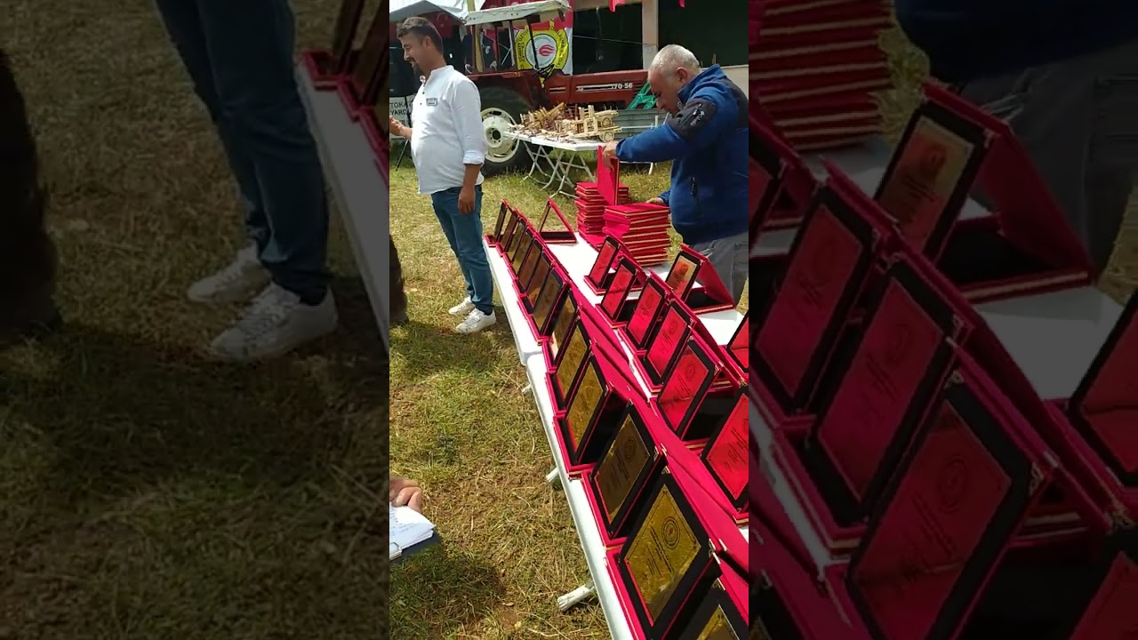 Tokat Zile Uzunköy Sarı baba şenliği