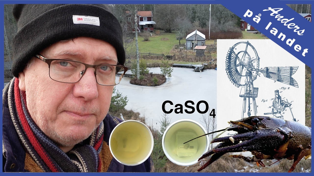 Fantastiska lösningar för trädgårdsdamm