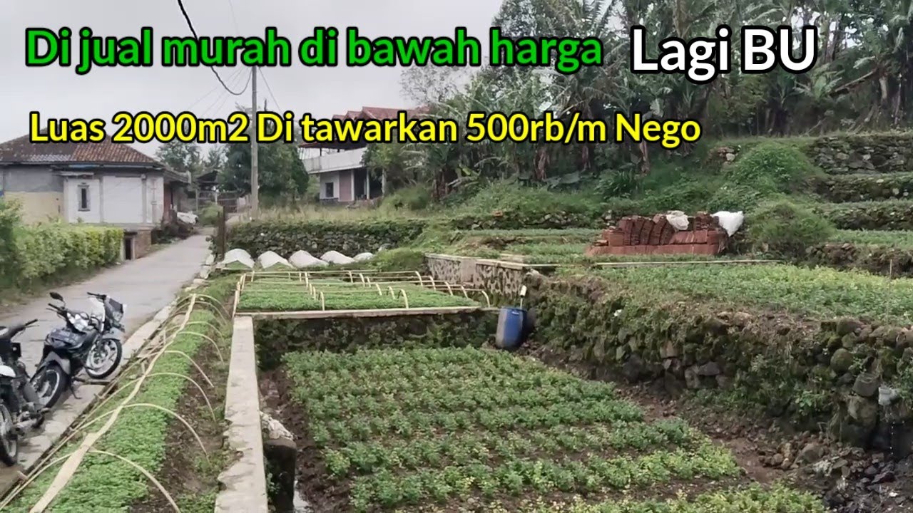Wow Bagus banget!! Di jual murah Luas 2000m ada sumber mata air nya harga 500rb/m nego