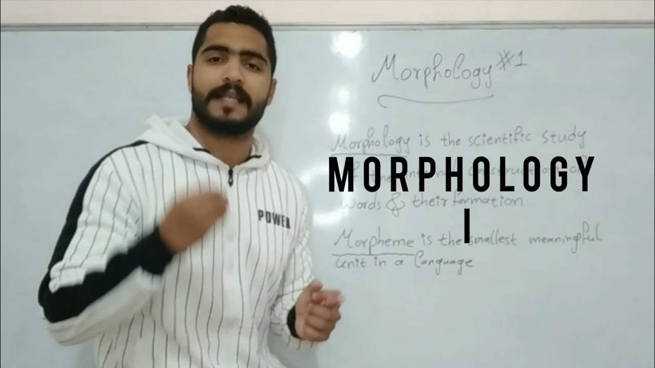 Morphology///الصرف باللغة الانجليزية