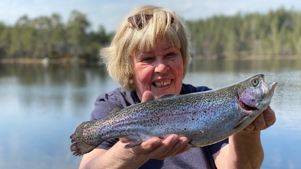 Fiskar regnbåge i Laxtjärn - 4K / Malingsbo Kloten
