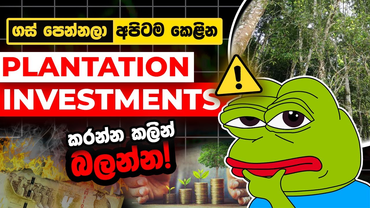ලංකාවේ Plantation Investments ඔක්කොම Scams? Find Legit Opportunities